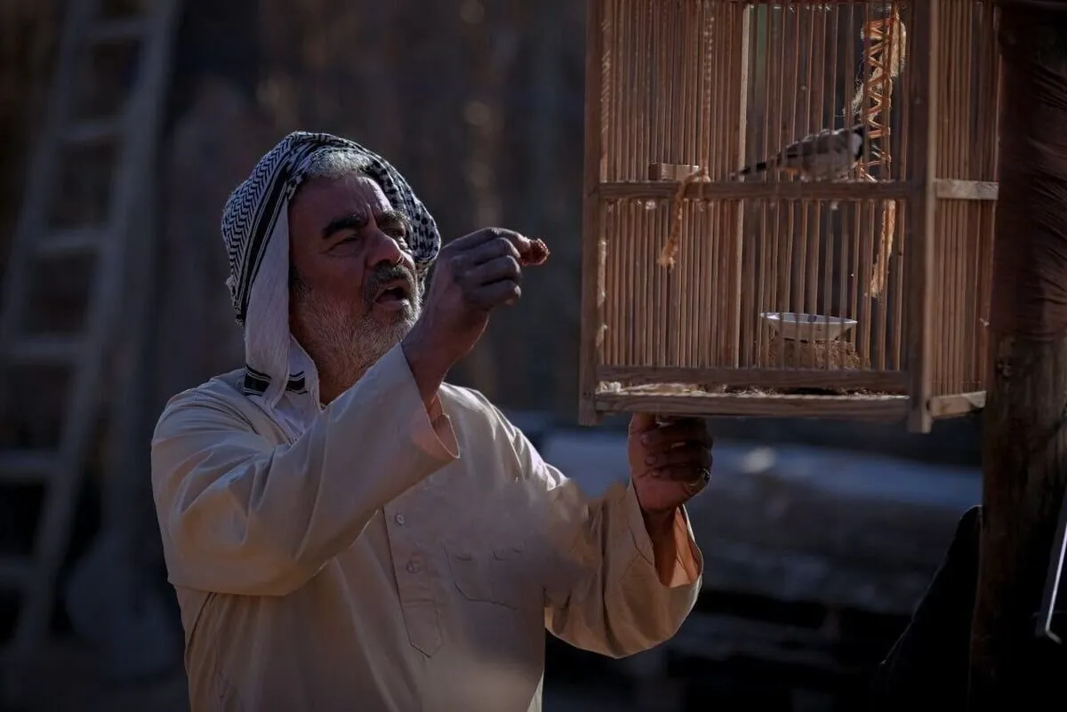 سعید آقاخانی، جشنواره فجر 