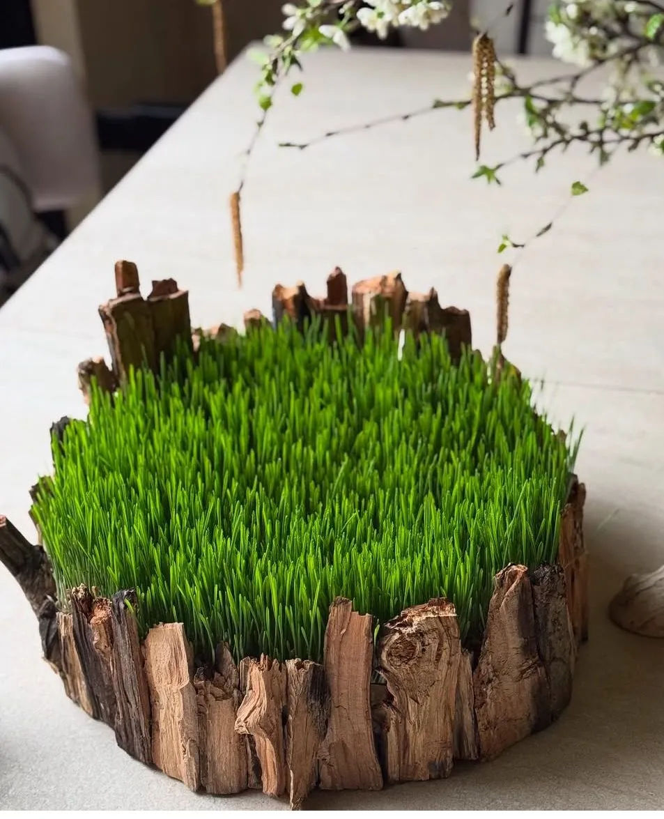 ایده‌های تزیین سبزه عید