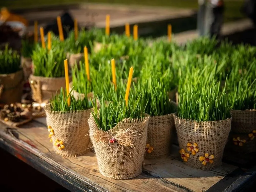 ایده‌های تزیین سبزه عید