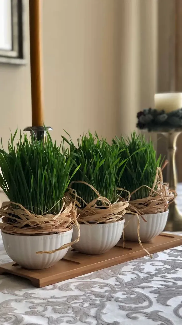 ایده‌های تزیین سبزه عید