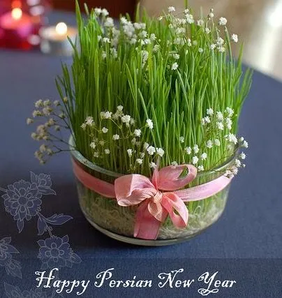 ایده‌های تزیین سبزه عید