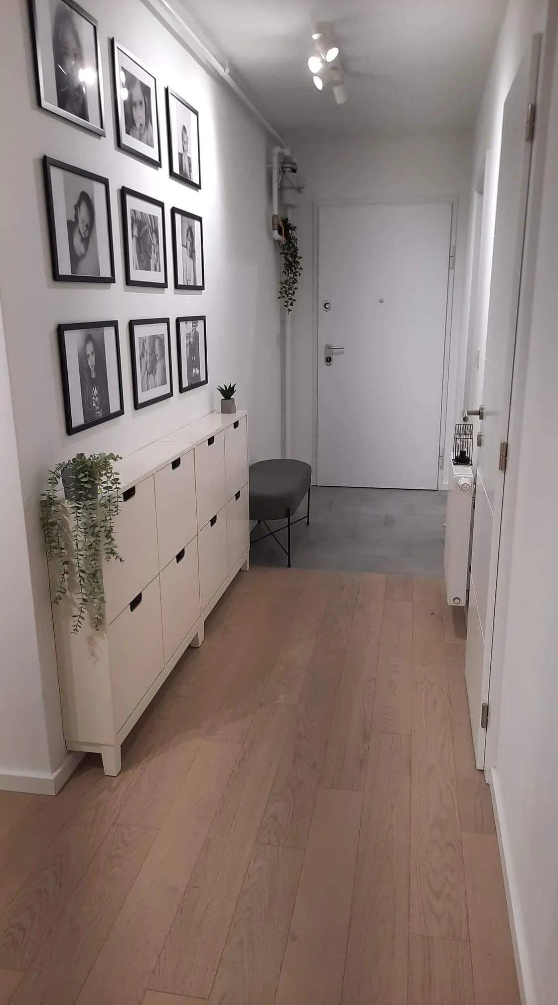 مجسمه برای روی جاکفشی