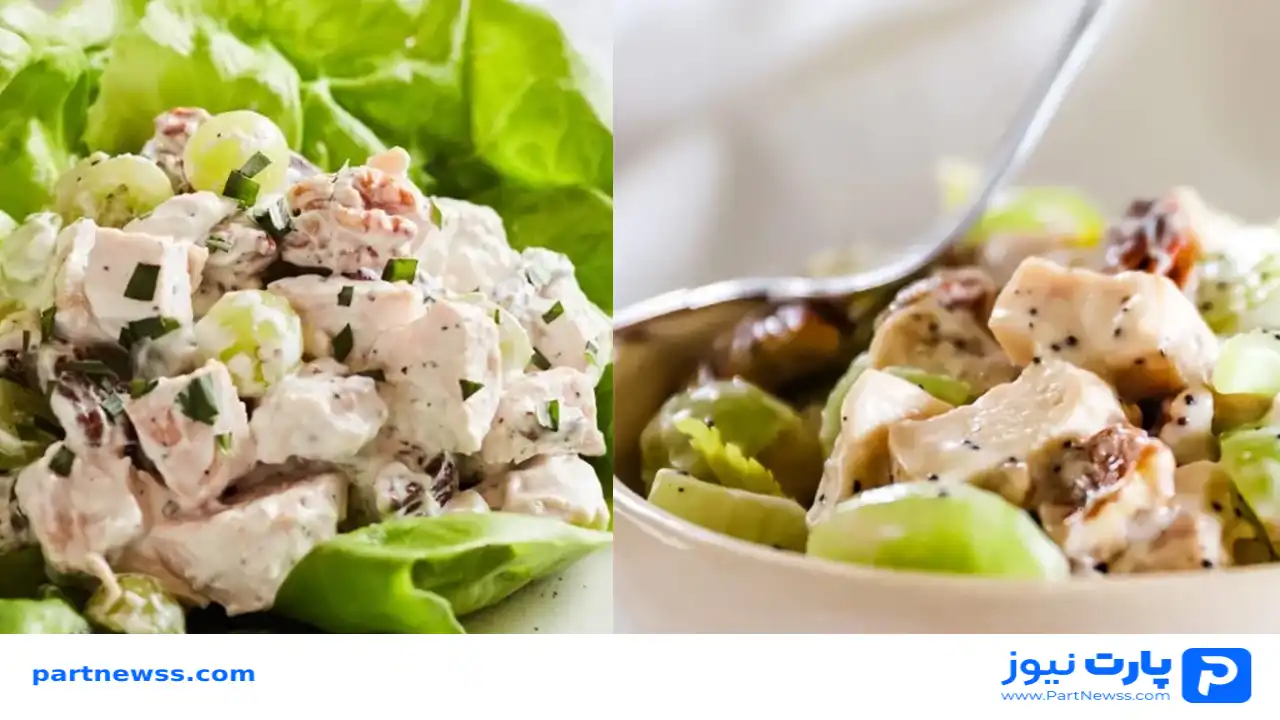 طرز تهیه سالاد مرغ و کرفس رژیمی؛ سالم، سیرکننده و کم‌کالری