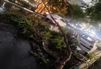 تهران زیر ضرب طوفان شبانه + جزئیات
