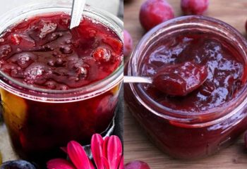 مربای آلوسیاه 1 طرز تهیه مربای آلو سیاه بدون هسته خانگی + فوت و فن ها