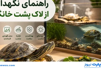 راهنمای نگهداری از لاک پشت خانگی؛ آموزش کامل صحیح