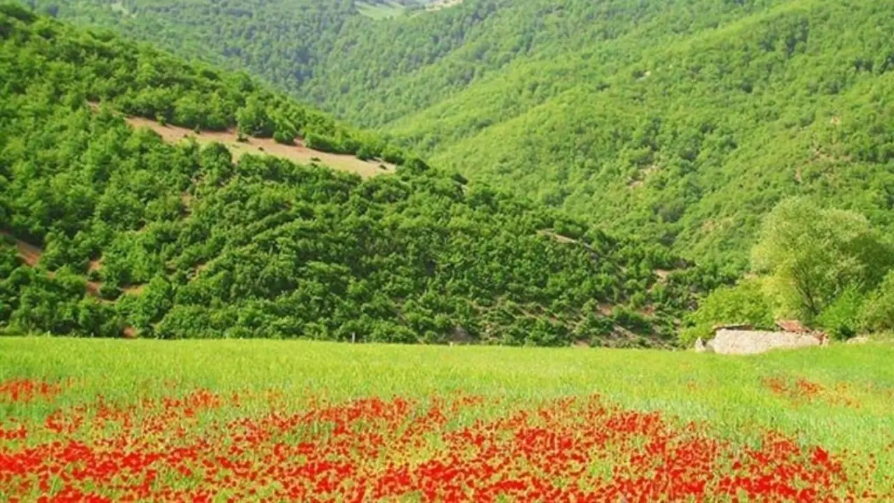 تنگه کپرگه بروجرد