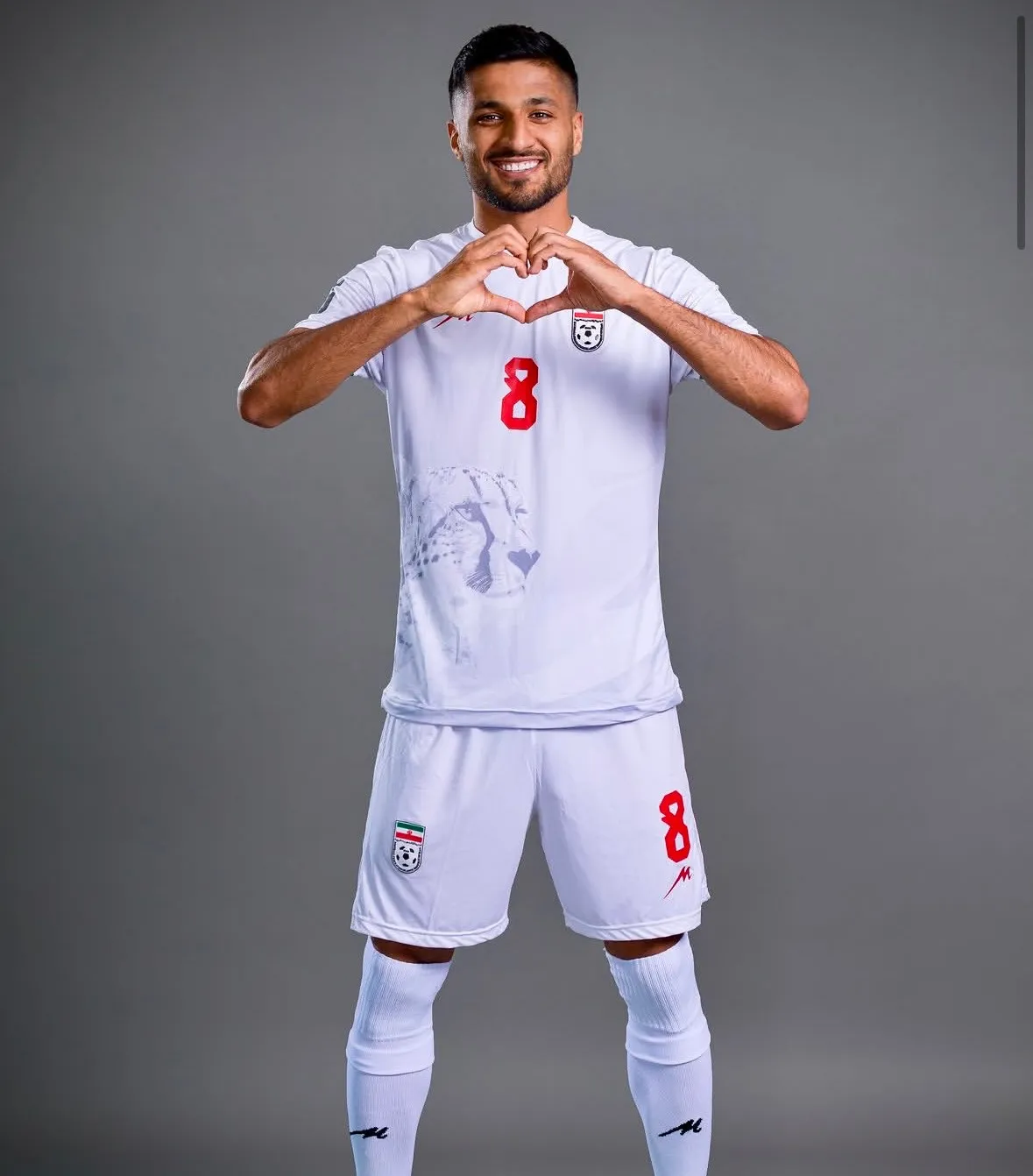 محمد محبی