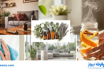از بین بردن بوی سیگار در خانه