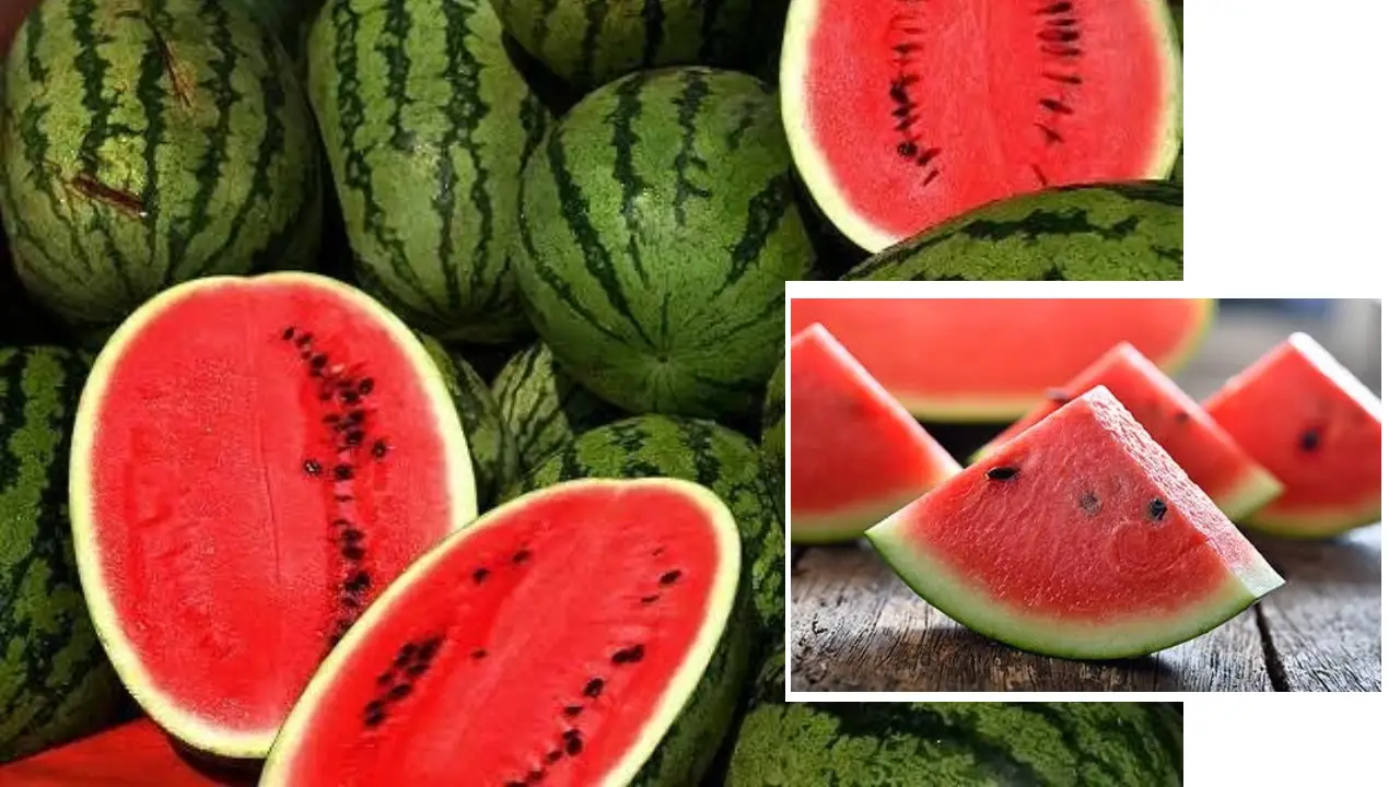 هندوانه