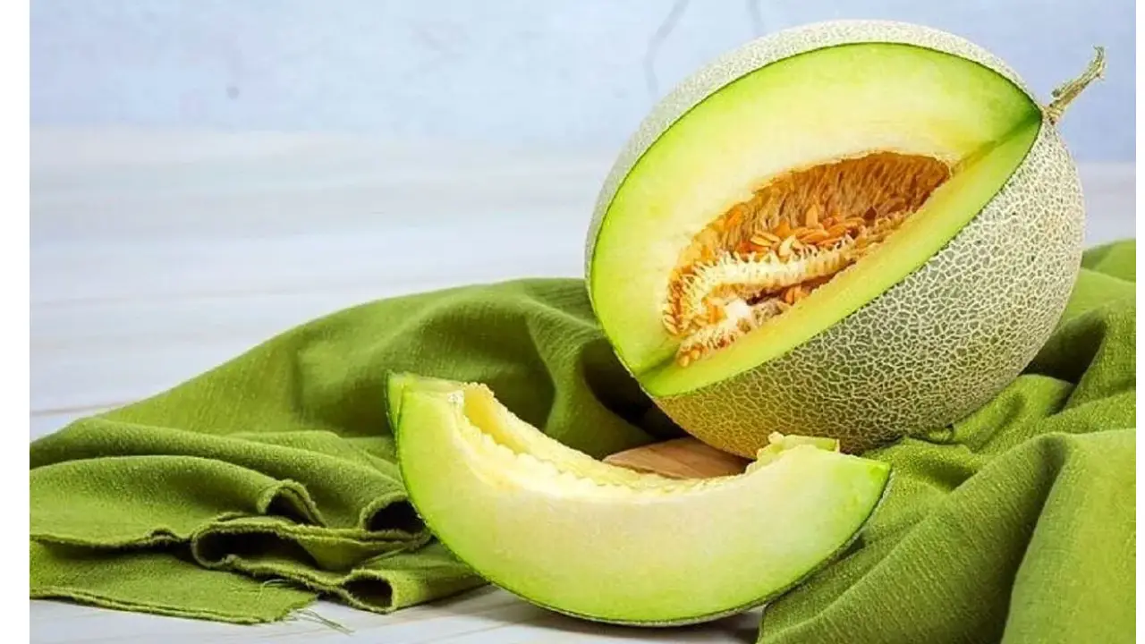 طالبی از میوه های بدون قند برای لاغری