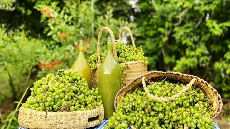 آبغوره خانگی