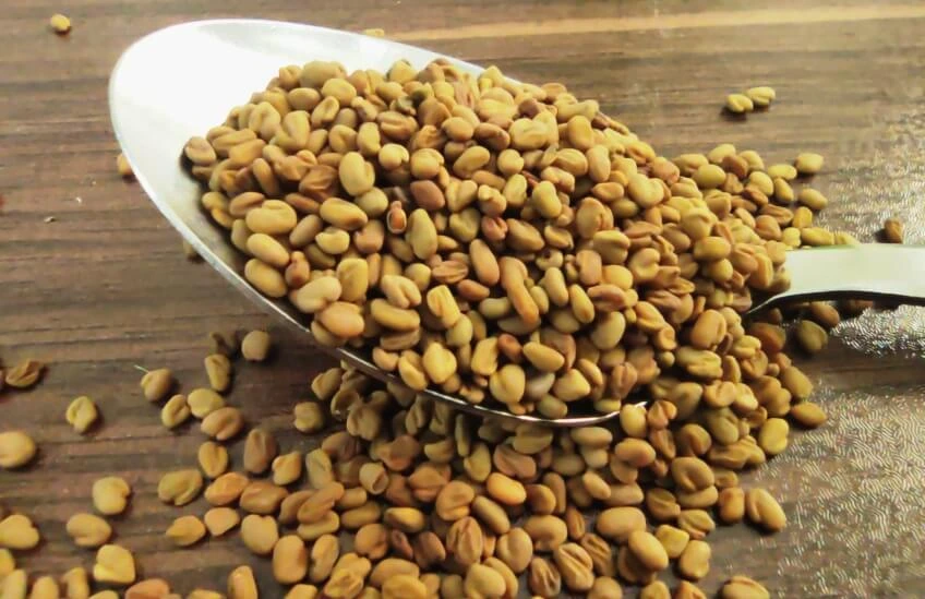دانه شنبلیله