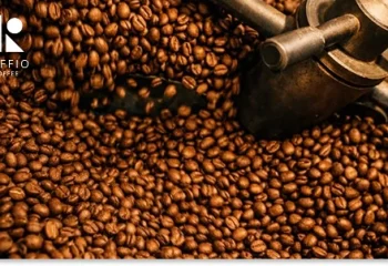 قیمت قهوه فله کیلویی در کافیو