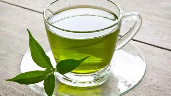 چای سبز طبیعی و باکیفیت
